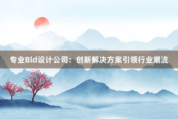 专业Bld设计公司：创新解决方案引领行业潮流